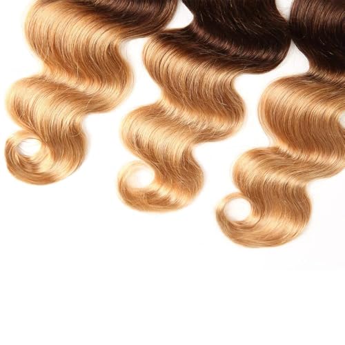Hailookmey 10 Inch Ombre Brown Blonde Body Wave Human Hair Bundles 100g