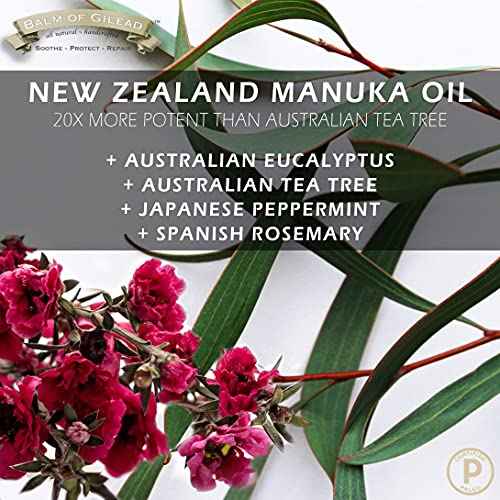 BALM OF GILEAD Tea Tree Balm - 2 fl oz Foot Cream with Tea Tree and Manuka Oil - Intensive Moisture for Itchy Feet, Eczema, Rashes & Dry Skin - Pure Balm That Softens Skin Irritations