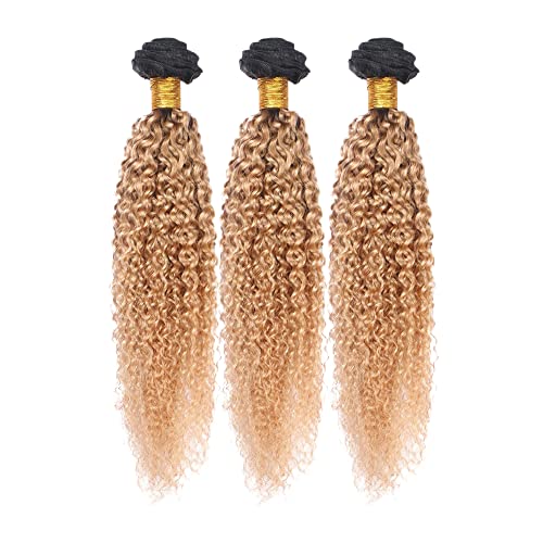 Kinky Curly 14" Bundles Brazilian Remy Hair for Black Women - 3 Pack