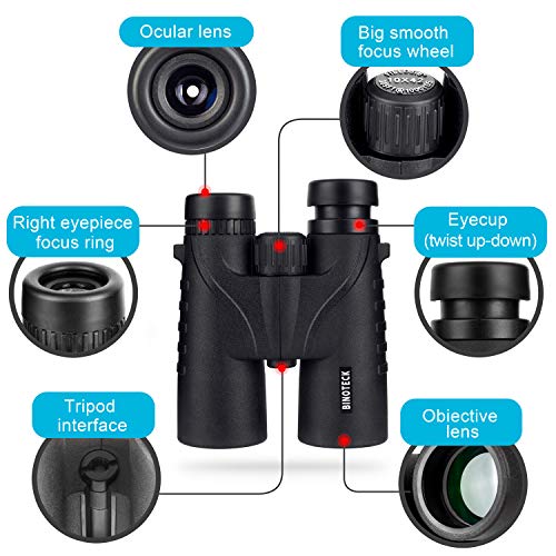 10x42 HD Binoculars for Bird Watching & Hunting - Lightweight BAK4 Prism
