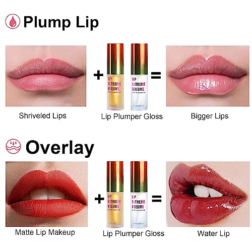 Lip Plumper Set with Ginger & Mint - Volumizing Lip Gloss