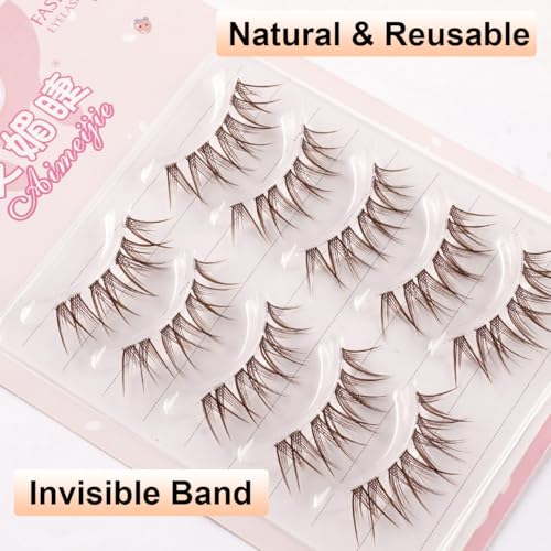 5 Pairs Brown Wispy False Eyelashes Clear Band 3D Fluffy