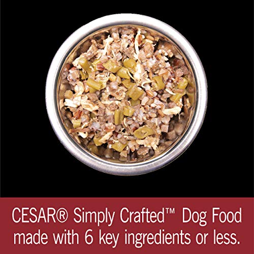 Cesar Wet Dog Food Simply Crafted Adult Wet Dog Food Cuisine Complement, Chicken, 1.3 Oz. Tub