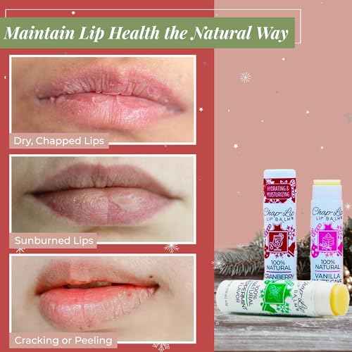 100% Natural Lip Balm Set - Beeswax Natural Christmas Gifts for Her - Ideal Gift for Women - Lip Moisturizer for Dry Lips, Cocoa Butter - Petroleum Free Pack of 24
