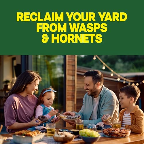Raid Wasp & Hornet Killer Spray, 14 oz, 2-Pack