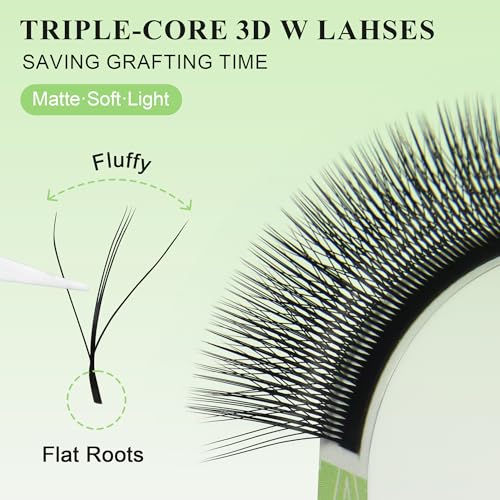 W Lashes 3D Eyelash Extensions Premade Fans 0.07D C/D Curl 8-12mm