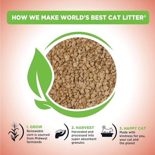 WORLD'S BEST CAT LITTER Multiple Cat Unscented, 8-Pounds - Natural Ingredients, Quick Clumping, Flushable, 99% Dust Free & Made in USA - Long-Lasting Odor Control & Easy Scooping