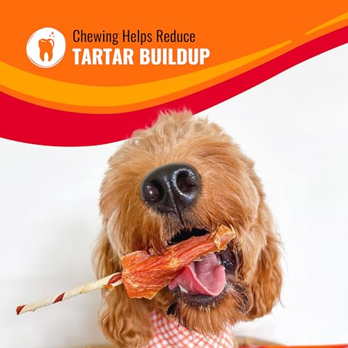 Good 'n' Fun Kabobs Dog Chews, Beef Hide & Chicken, 24 oz