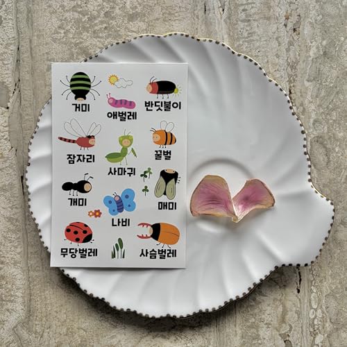 Korean Learning Temporary Tattoos for Kids