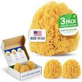 Baby Buddy Absorbent Natural Bath Sponge, Soft Exfoliating Grass Sponge, Soft on Baby's Tender Skin, Bath Accessories Baby and Kids, Infant Bath, Biodegradable, Hypoallergenic, 3pk, 4in