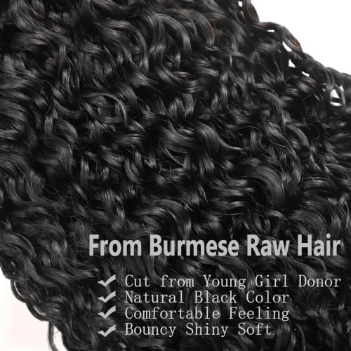 Fancybella Burmese Curly Hair Bundles 12 Inch Natural Black 3C4A Spiral Ends