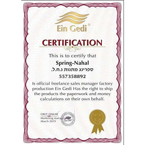 Ein Gedi Anointing Oil 100 ml - 3.4fl oz Blessing from Jerusalem Made in Holyland for Prayer and Blessings (100ml, Frankincense Myrrh & Spikenard)