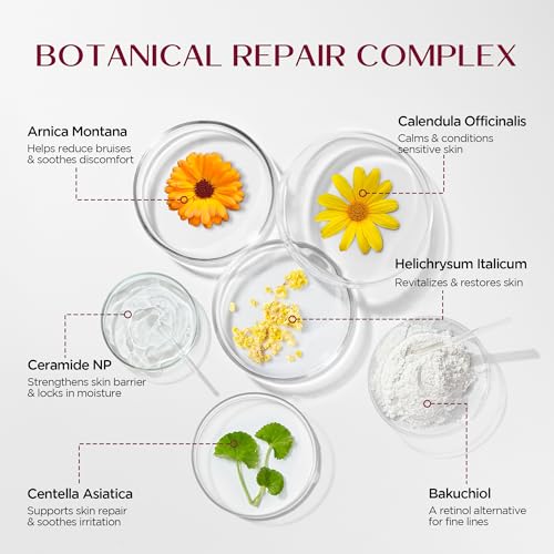 Vigority Helichrysum Balm: Restorative Cream with Arnica & Calendula - Moisturizes & Revitalizes Face & Body (2-Pack(6.8 oz - Original))