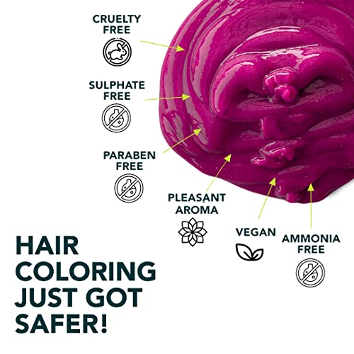 Paradyes Ammonia-Free Pink Semi-Permanent Hair Color Kit