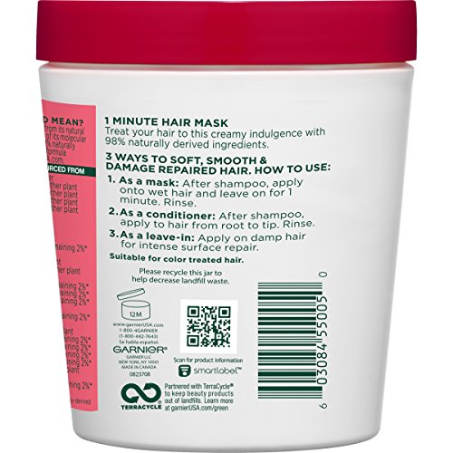 Garnier Hair Care Fructis Color Vibrancy Treat 1 Minute Hair Mask With Goji Extract, 13.5 Fluid Ounce