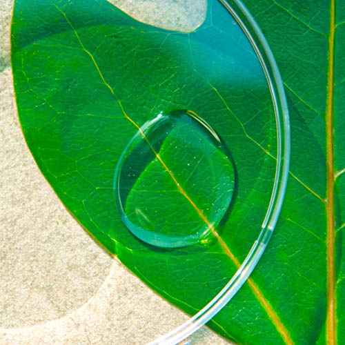 Exosome Toner, Clarifying&Moisturizing, Ginseng Tree Exosome, Quick-Absorbing, Vegan, All Skin Types, 4.05 Fl Oz