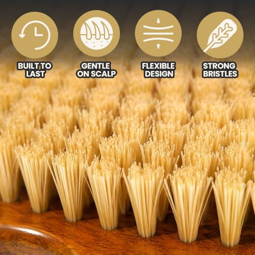 Kosher 100% Natural Plant Wave Brush for Curly & Coarse Hair