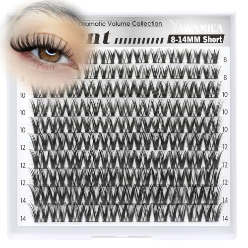 Flaunt Wispy Cluster Lashes 8-14mm CD Curl Extensions
