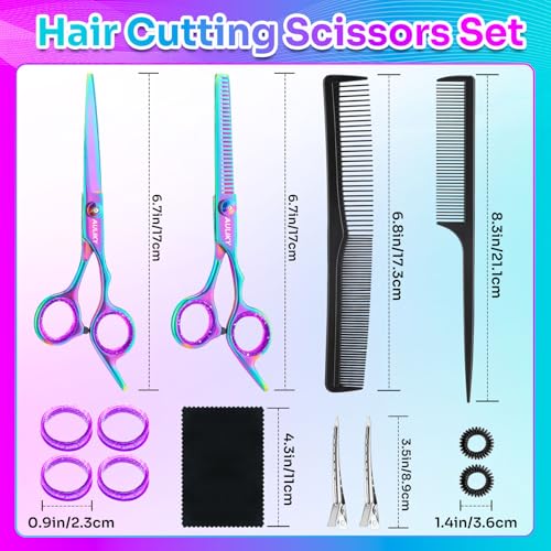 6.7" Professional Hair Cutting Scissors Kit, Stainless Steel Barber Shears