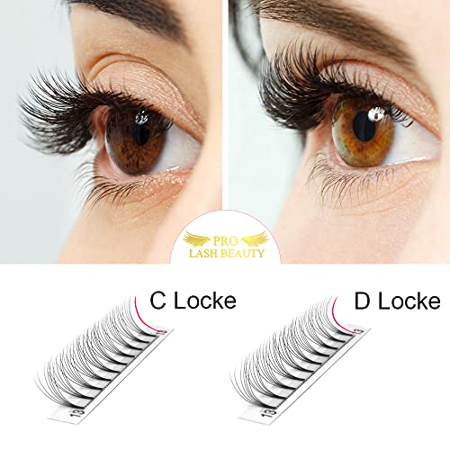 Premade Volume Eyelash Extensions 4D-D-0.10-9 Short Stem Premade Fans Eyelash Extensions 9 to 20 mm Volume Lash Extensions .07 .10 Pre made Lash Fans C D Curl (4D-D-0.10,9mm)