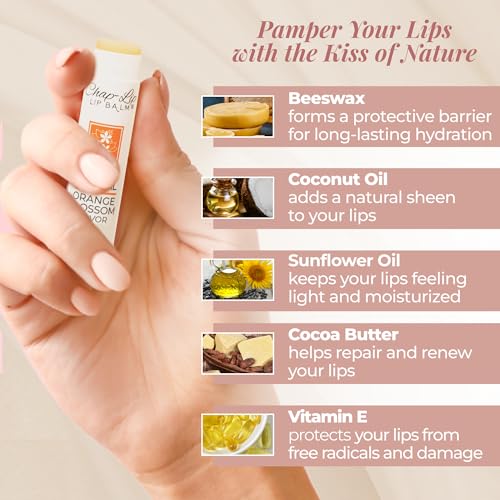 100% Natural Lip Balm Set - Hydrating and Moisturizing Beeswax Natural 4 Flavor Assortment - Lip Moisturizer for Dry Lips - Cocoa Butter - Petroleum Free Pack of 8