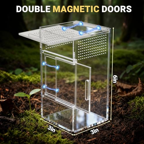 ZENWUKONG 3x3x6 Inch Jumping Spider Enclosure Acrylic Terrarium Habitat with Magnetic Doors
