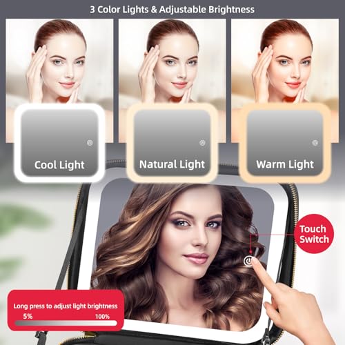 Travel Makeup Bag with Mirror of LED Lighted, Makeup Train Case with Adjustable Dividers, Makeup Case with Mirror and Detachable 10x Magnifying Mirror