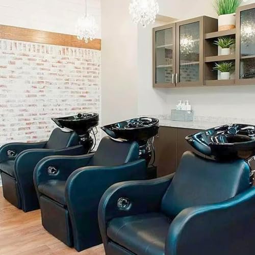 Buy-Rite Backwash Chair with Tilting Porcelain Bowl - Black