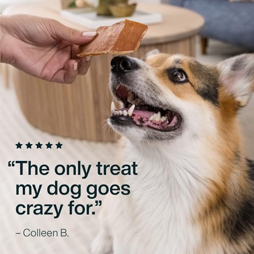 Just Food for Dogs Chicken Breast Jerky Treats, 5 oz