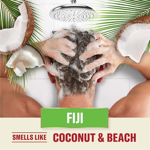 Old Spice Fiji 2-in-1 Shampoo & Conditioner for Men