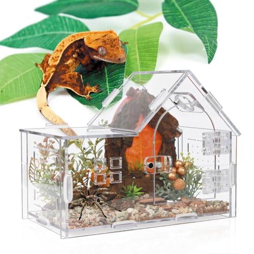 Acrylic Jumping Spider Enclosure House-Shaped Terrarium - Transparent, Breeding-Only Version