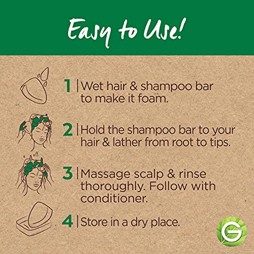 Garnier Whole Blends Hydrating Shampoo Bar for Normal Hair, Coco & Aloe Vera, 2 Oz, 1 Count (Packaging May Vary)