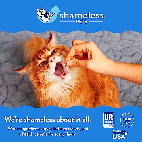 Shameless Pets Celebration Birthday Crunchy Cat Treats Chicken and Catnip Treats with Digestive Support