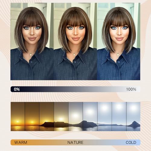 14-Inch Silver Ombre Bob Wig with Bangs - Heat Resistant Synthetic Hair