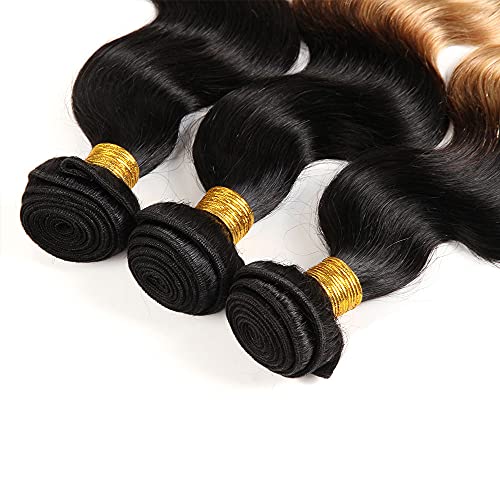 Ombre Honey Blonde Human Hair Bundles Body Wave 22 24 26"