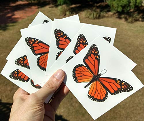 Monarch Butterfly Temporary Tattoos - 6 Large 3.8" Designs