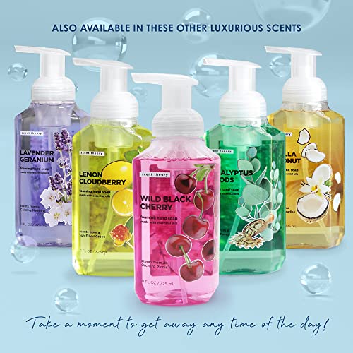 Scent Theory - Foaming Hand Soap - 11 Fl Oz - 4-Pack (Vanilla Coconut)