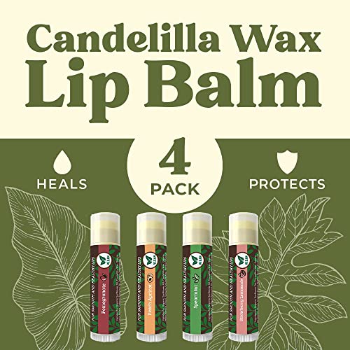 Vegan Lip Balm by Earth’s Daughter, Beeswax Free Lip Balm, Natural, Organic Flavors - 4 Pack of Assorted Flavors, Plant Based Vegan Chapstick, Lip Moisturizer