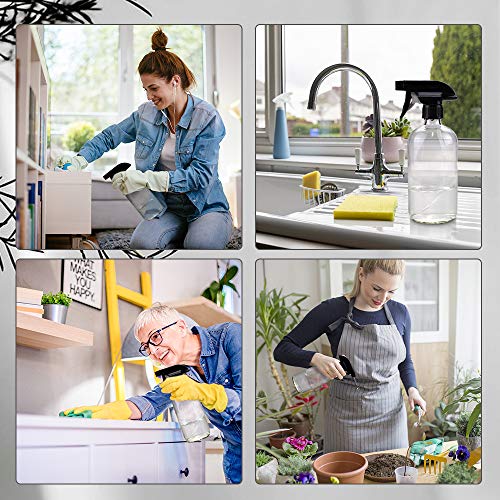 16oz Glass Spray Bottles with Adjustable Nozzle - Refillable