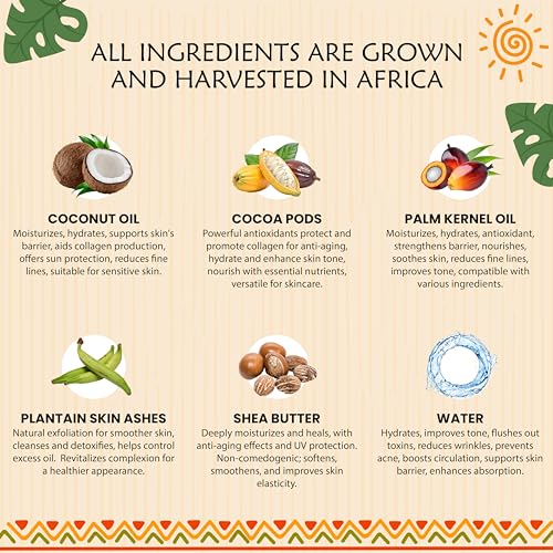 African Black Soap Paste 8 oz - Plant Guru Natural Ghana Cleanser