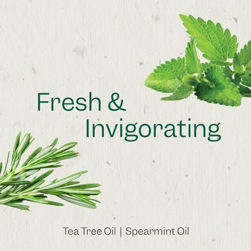 Renpure Tea Tree & Mint Body Wash - Cleanses, Invigorates & Refreshes Skin Without Over-Drying - For All Skin Types - Tea Tree Leaf Oil, Spearmint Leaf Oil - 24 Fl Oz each, 2 Pack
