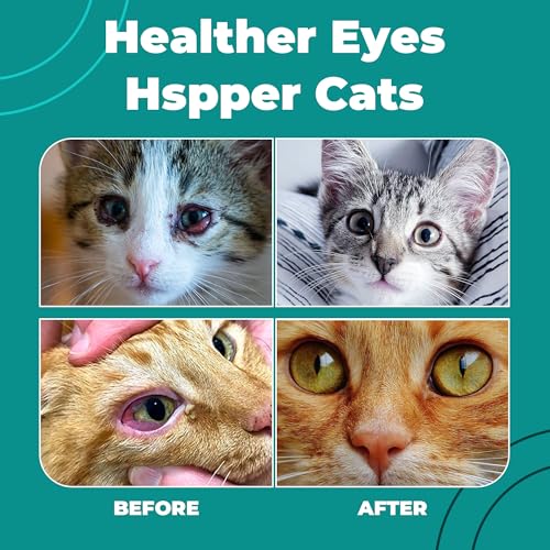 VivaElixir Cat Eye Infection & Vision Support Drops for Cats & Kittens