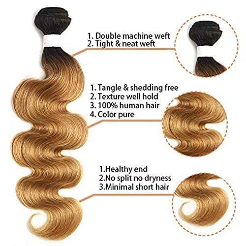 X-TRESS Ombre Honey Blonde Body Wave Human Hair Bundles Brazilian T1B/27 Virgin Human Hair 1 Bundles Human Hair Extensions(18 Inch,T1B/27)