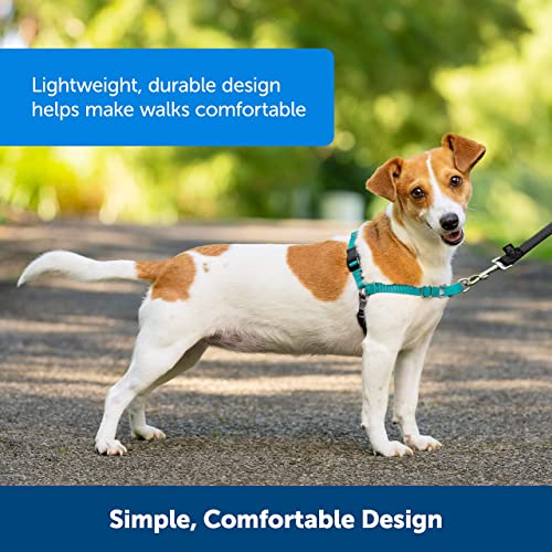 PetSafe Easy Walk No-Pull Dog Harness - The Ultimate Harness to Help Stop Pulling - Take Control & Teach Better Leash Manners - Helps Prevent Pets Pulling on Walks, Small, Black/Silver