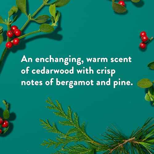 Native Deodorant, Holiday Edition, Fresh Mistletoe Scent, Contains Naturally Derived Ingredients, 72 Hour Odor Control | Deodorant for Women and Men, Aluminum Free with Baking Soda