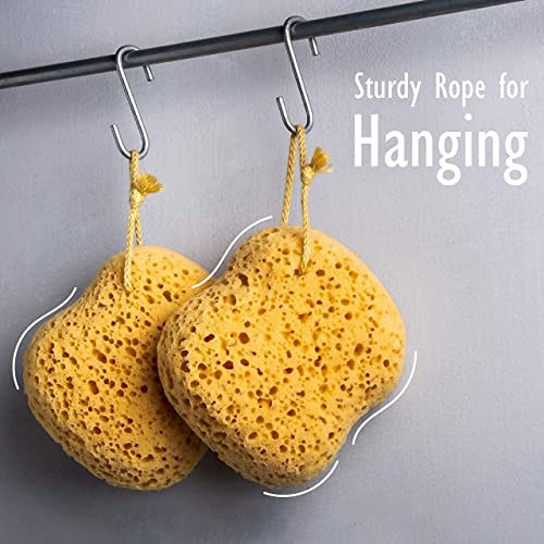myHomeBody Large Bath Sponge, 3 Pack Foam Loofah
