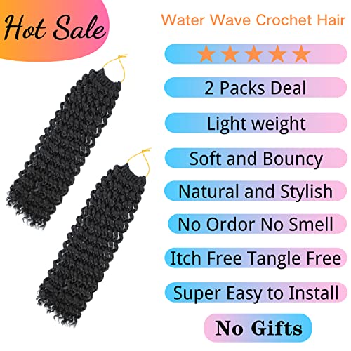 Long Passion Twist Hair 24 Inch Water Wave Crochet Hair for Black Women Passion Twist Crochet Hair for Butterfly Locs 2 Pack Curly Crochet Passion Twist Braiding Hair Extensions 1B Natural Black