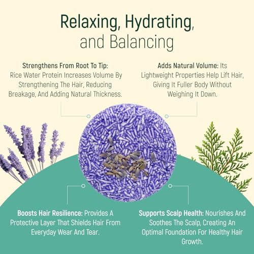 Solid Shampoo Bar And Conditioner Effect Hair Soap ? 12 Pack Natural Shampoo Bars For Hair With Plant Based Essential Oils And Eco Friendly Zero Waste Biodegradable Packaging (Lavender Pack Of 12)