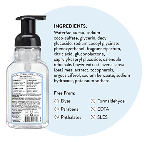 J.R. Watkins Foaming Hand Soap, Brise Marine, 9 fl oz, 3 Pack