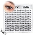 Wispy Fluffy Spider Lash Clusters - DD Curl Individual Lashes 10-14mm